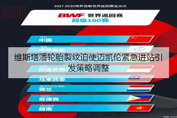 维斯塔潘轮胎裂纹迫使迈凯伦紧急进站引发策略调整